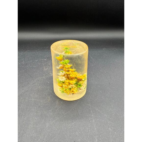 Retro Daisyglas Lucite Paperweight- Dried Flowers and small butterfly - Picture 8 of 8